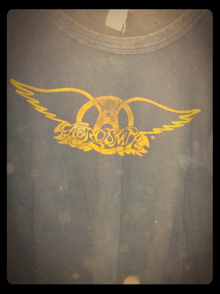 Authentic Vintage Aerosmith t-shirt Dream On tour